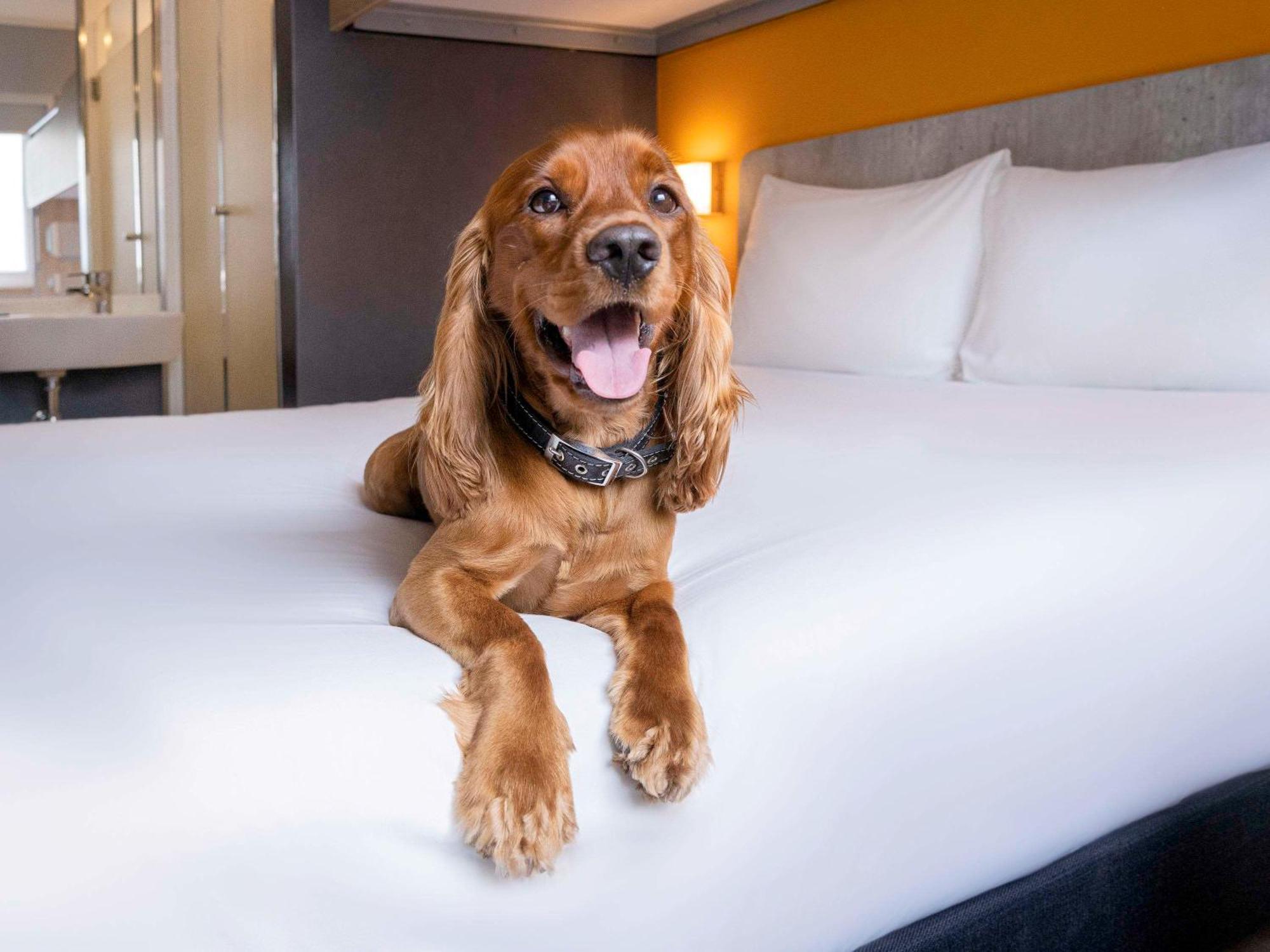 Ibis Budget Lima Miraflores Екстер'єр фото
